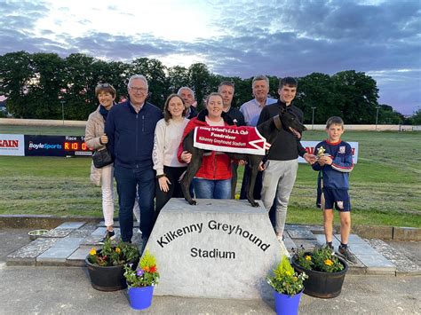 kilkenny dog results today|Kilkenny Live Streaming, Racetrack Stats, Map & Info.